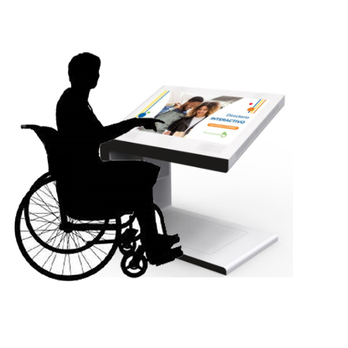 Terminal Interactiva Sillas de Ruedas